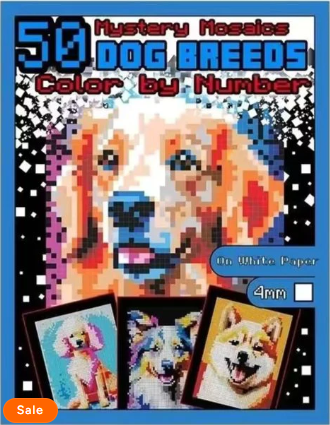 100 Color by Number Mysteries Book