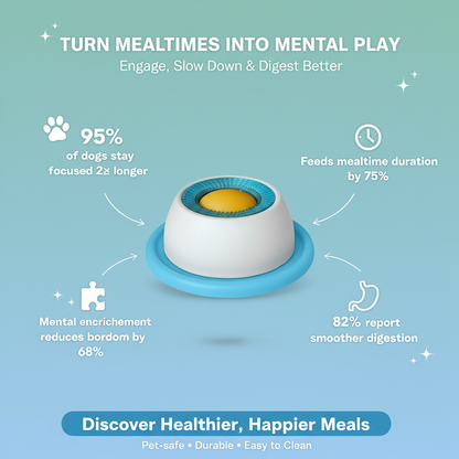 Pet Lick Bowl - Slow Feeder